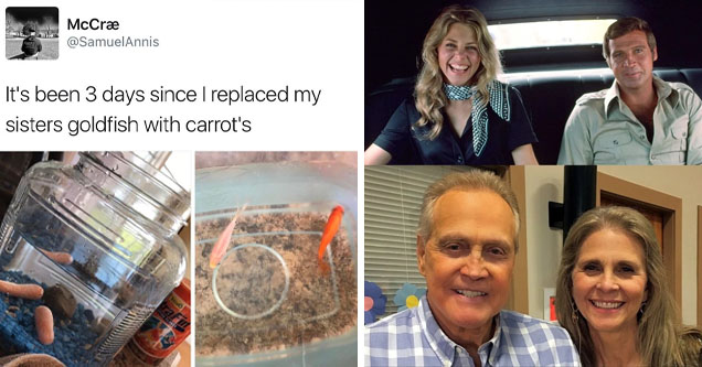 dank memes -  It's been 3 days since I replaced my sisters goldfish with carrot's -  actors then and now