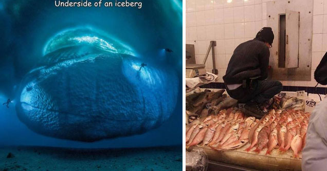 laurent ballesta iceberg - Underside of an iceberg | chinatown man steps on fish - No Smoking 429 214