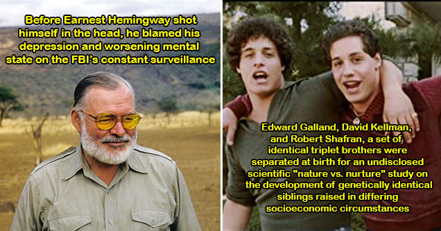 declassified government secrets -  a set of triplets separated at birth for a study on nature vs nurture -  Earnest Hemmingway was being followed by the fbi