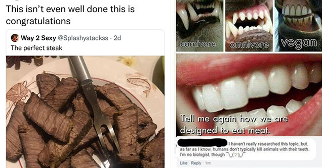 savage comments that knocked people down -  over cooked steak -  animal teeth vs human teeth