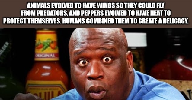 chicken wings and shaq