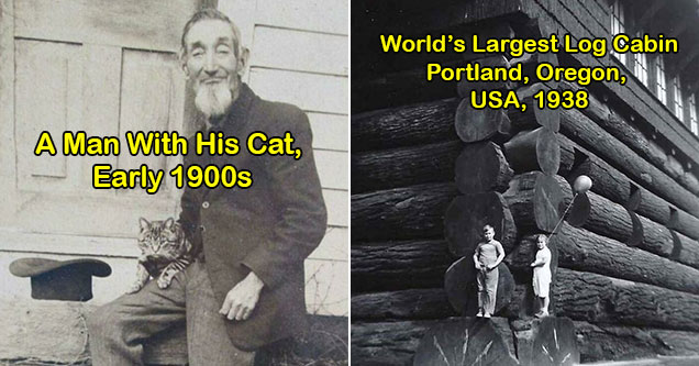 historical photos - a man with his cat -  the world's largest logcabbin