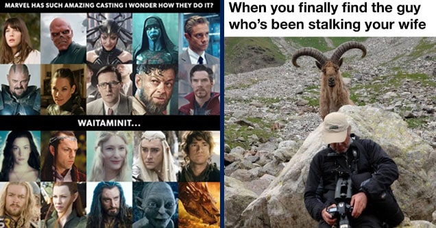 lord of the rings - Marvel Has Such Amazing Casting I Wonder How They Do It? Waitaminit... Ca Srm | goats getting shot - When you finally find the guy who's been stalking your wife