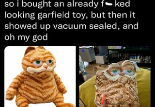 photo caption - so i bought an already f ked looking garfield toy, but then it showed up vacuum sealed, and oh my god imgflip.com