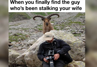 goats getting shot - When you finally find the guy who's been stalking your wife