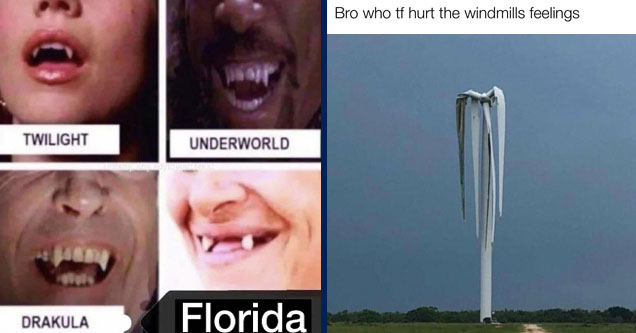 different types of fangs meme - Twilight Underworld Drakula Florida | windmill tornado - Bro who tf hurt the windmills feelings