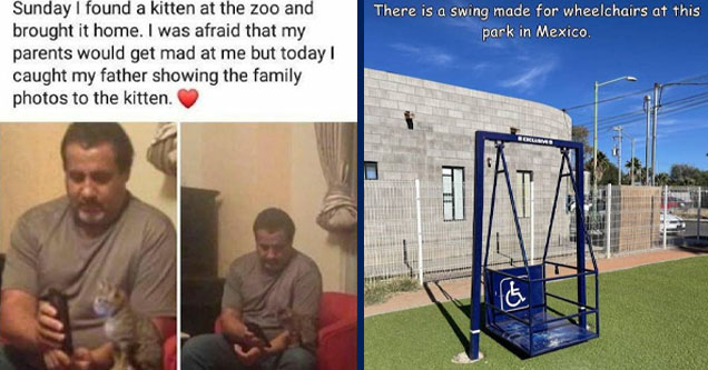 wholesome posts - Sunday I found a kitten at the zoo and brought it home. I was afraid that my parents would get mad at me but today! caught my father showing the family photos to the kitten. | grass - There is a swing made for wheelchairs at this park in