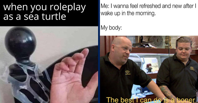 you re freaky but on a budget - when you roleplay as a sea turtle | best i can do meme - Me I wanna feel refreshed and new after | wake up in the morning. My body & Od The best I can do is a boner