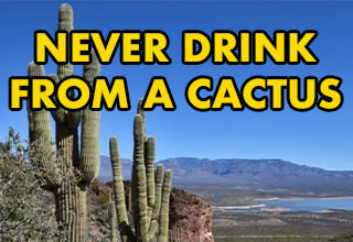 survival myths - never drink from a cactus