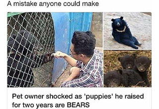 man raised dogs that turned out to be bears