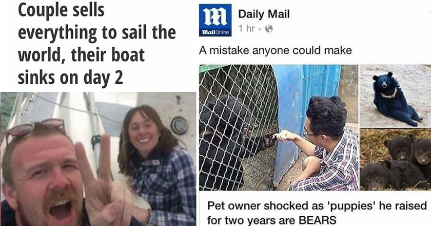 couple's boat sinks on second day of new trip - man raised dogs that turned out to be bears