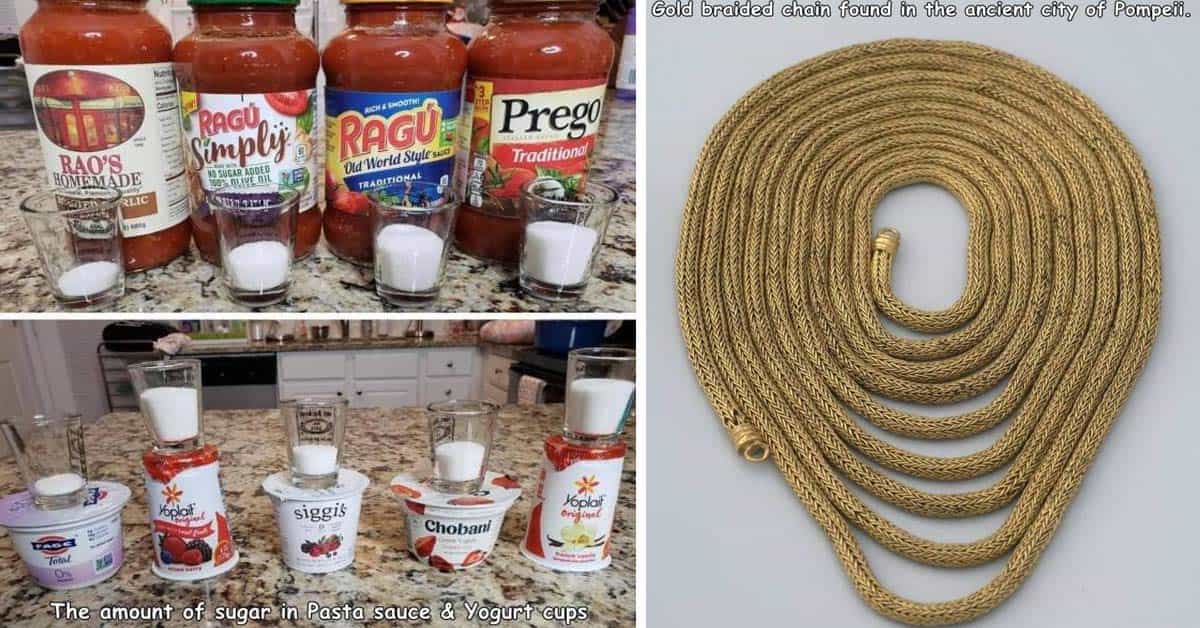 tomato sauce brands - Ne Ted Rag, Simplij | Ragu Prego Traditional Raos Homemade Old World Style No Sugar Added Duive Dil Traditional Psy Lic Sic Yoplait siggis Yoplait Original Chobani Toral On The amount of sugar in Pasta sauce & Yogurt cups | chain - G