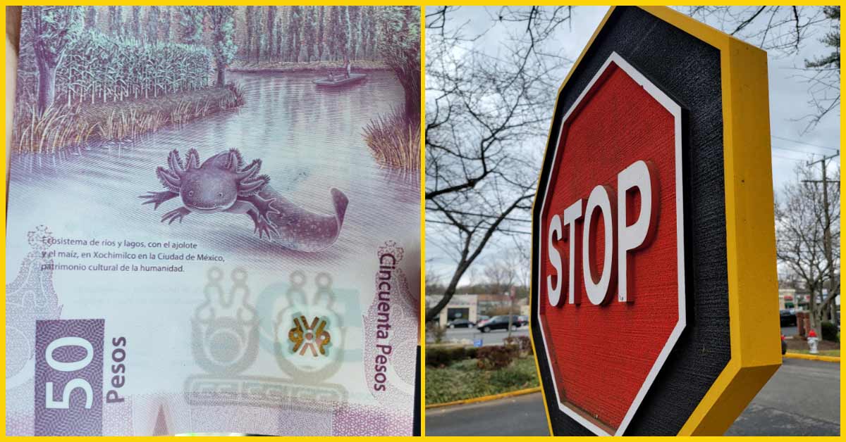 a 50 dollar bill with a axolotl on it and a wooden stop sign