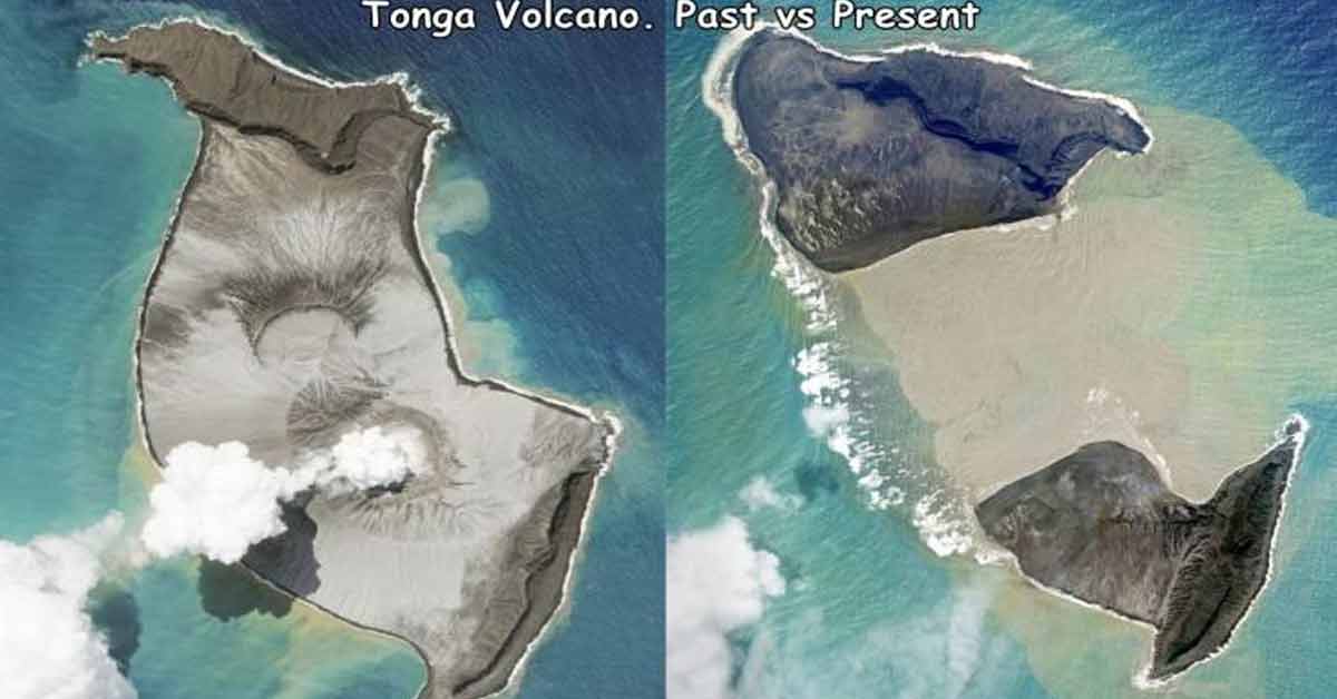 marine mammal - Tonga Volcano. Past vs Present