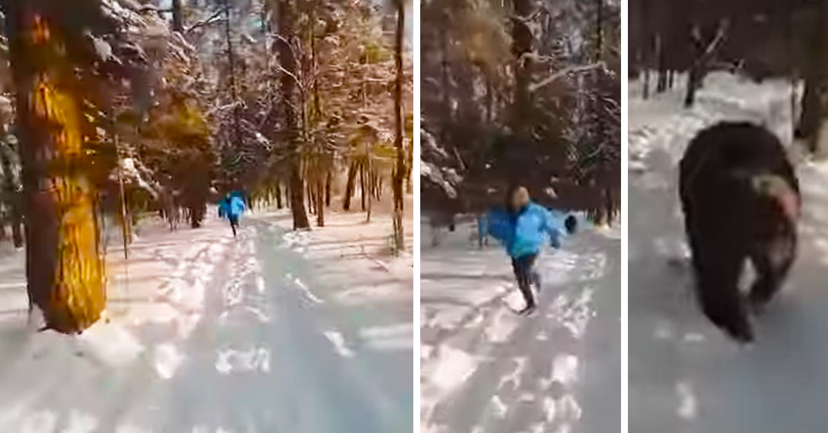 man chased by bear