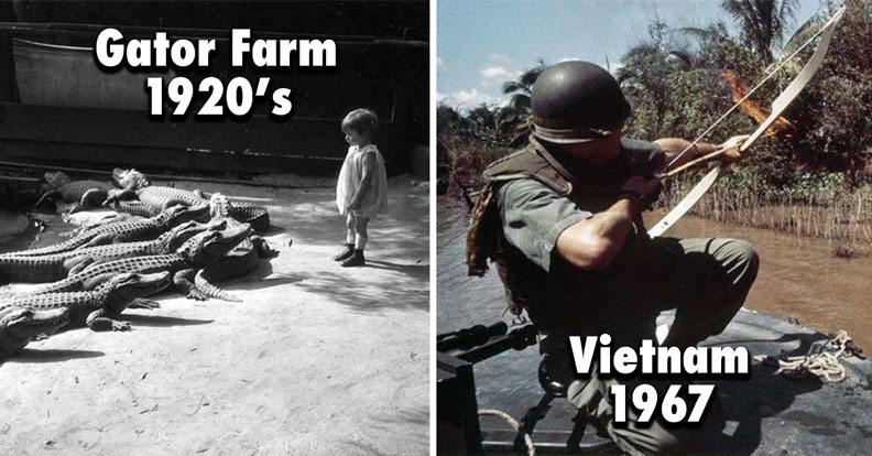 gator farm and vietnam