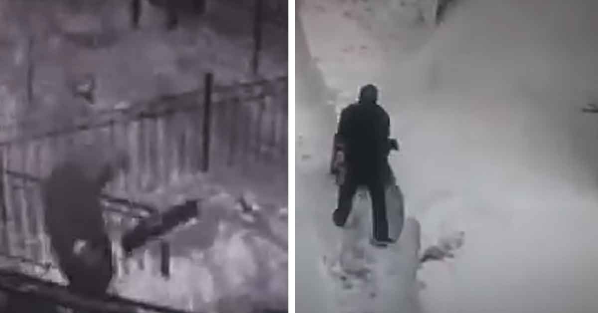 a woman stealing a shovel and a guy burying her car with a snowblower