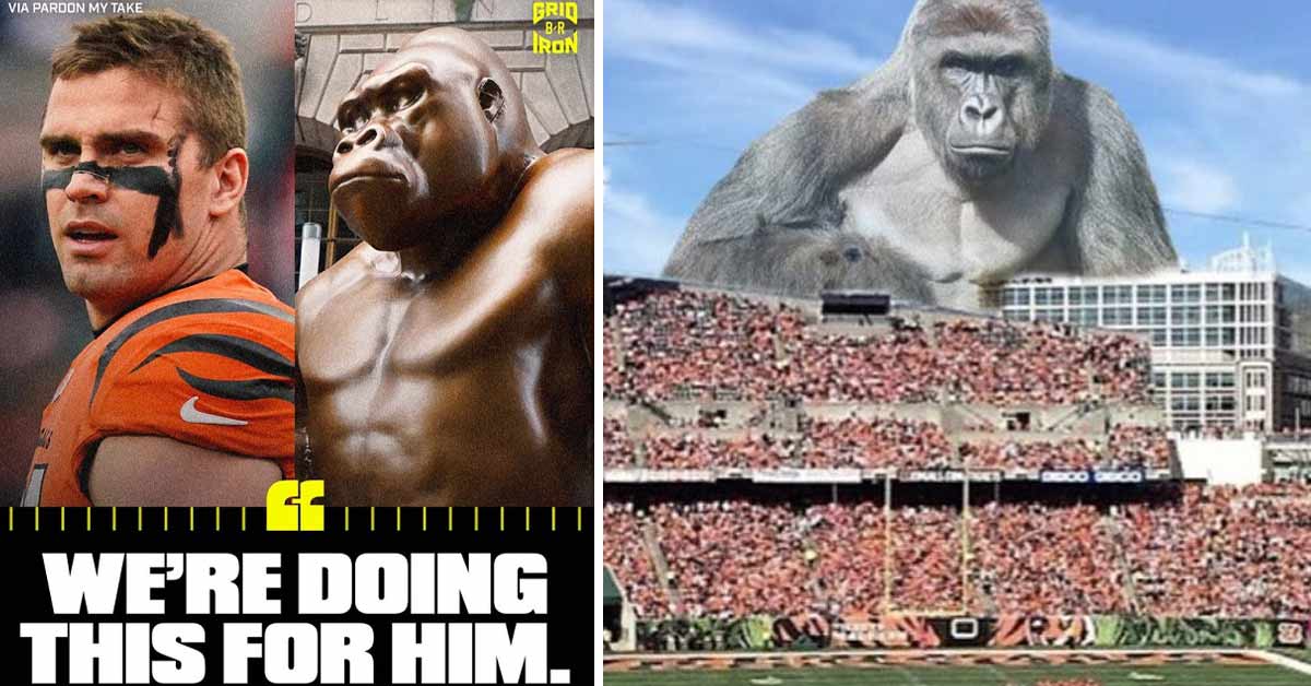 Cincinnati Bengals Harambe Win For Him - Harambe - Pin