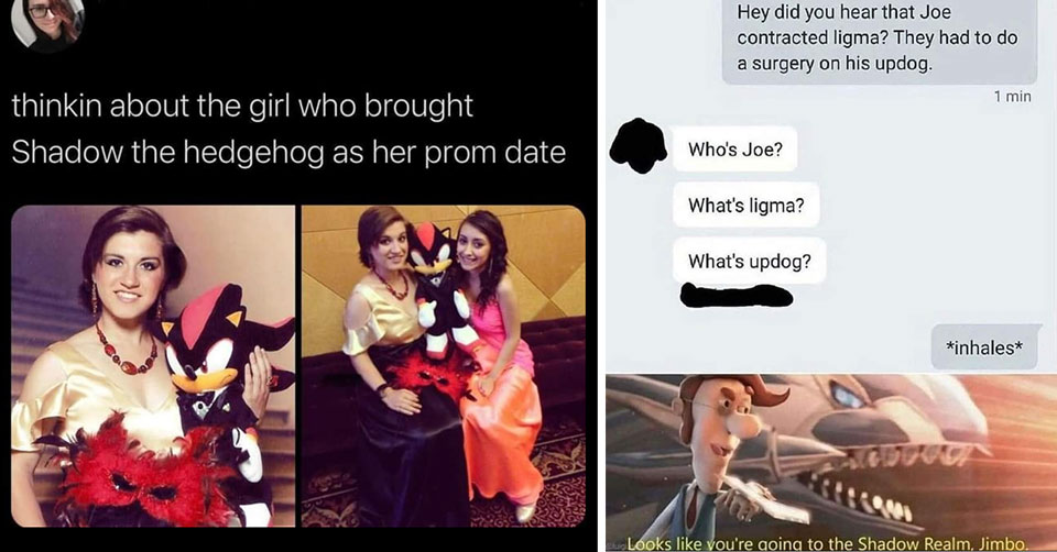 gaming memes -  girl took a sonic doll to prom -  what's ligma? What's updog?