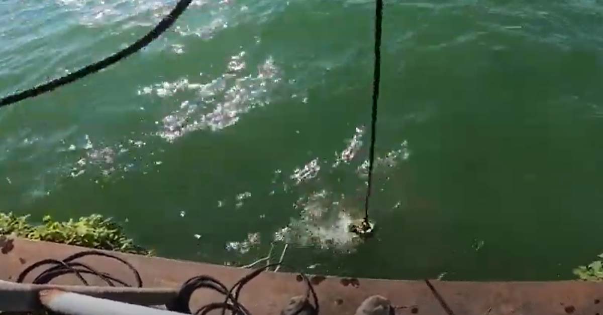 a photo of a man magnet fishing in some green water off a pier