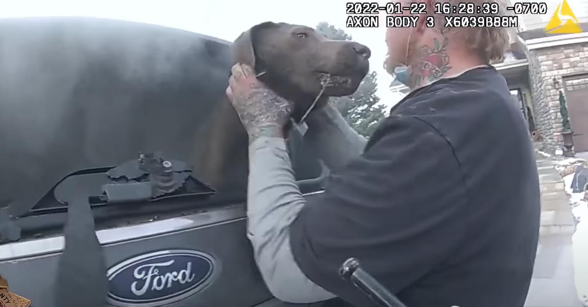 dog saved from burning car