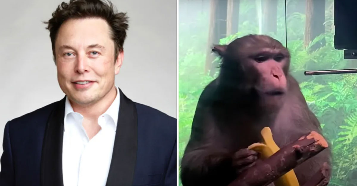 Elon Musk and the Nueralink monkey