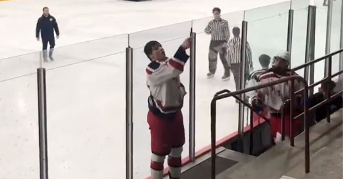 fight in stands high school hockey