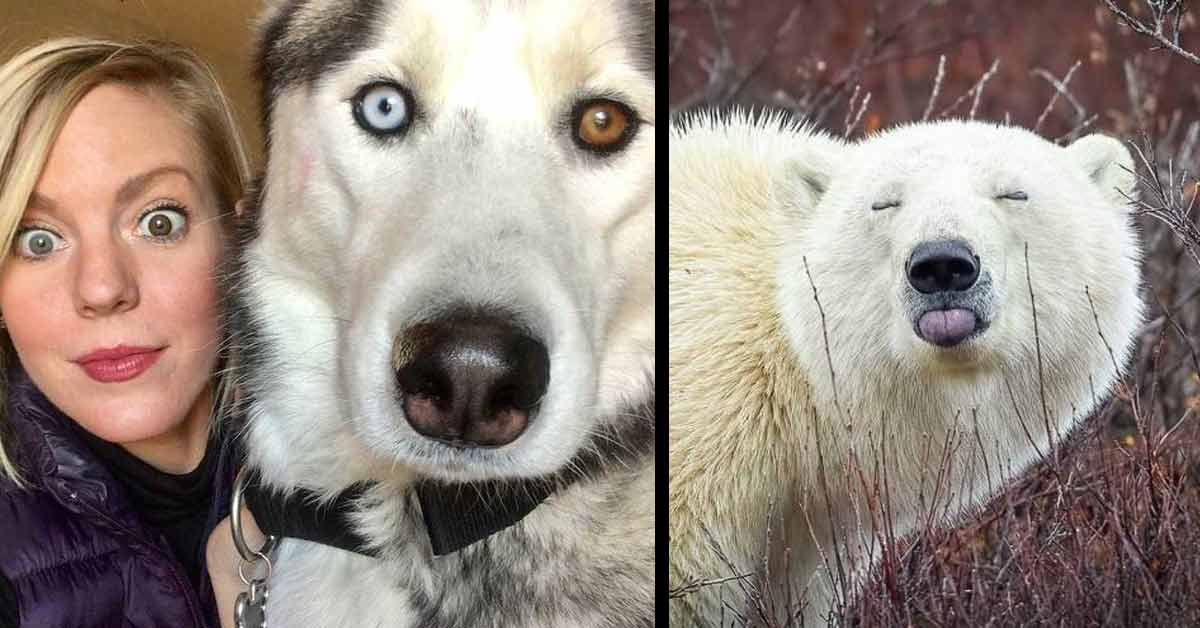 a woman and her dog who both have the same different colored eyes