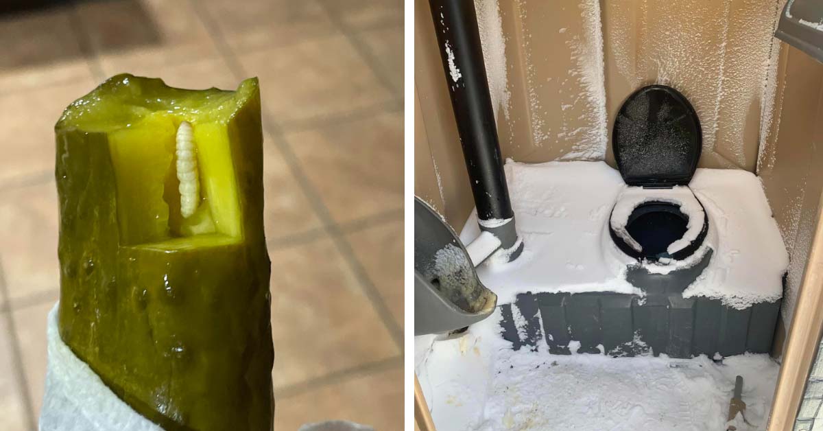 a pickle with a maggot in it and a porta potty that snowed inside