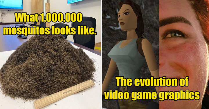 the evolution of video game graphics -  what 1 million bugs looks like