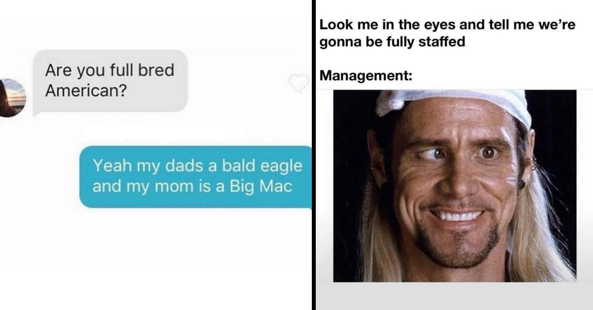 a funny text message about being full bred american a funny meme about management