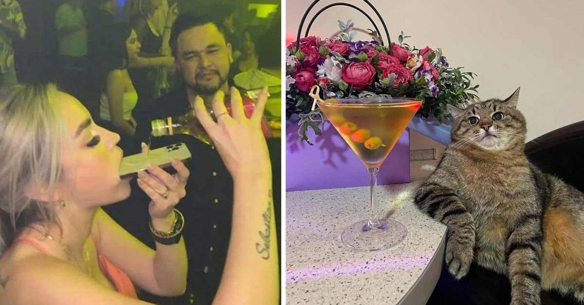 a woman taking a shot off her phone and a cat with a martini