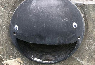 To whomever invented the googly eyes, thank you. They have changed art and vandalism forever. You did <strong><a href="https://www.ebaumsworld.com/pictures/things-that-made-us-decide-humanity-is-doomed/87121070/" target="_blank">humanity</a></strong> a service by creating them.
<br>
<br>
By sourcing the nearly 8 billion people using the world wide web, we've collected some of the funniest, creepiest, yet overall wholesome googly-eyed acts of vandalism out there. Please enjoy.
