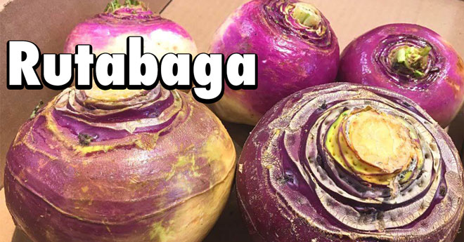 rutabaga fun word to say