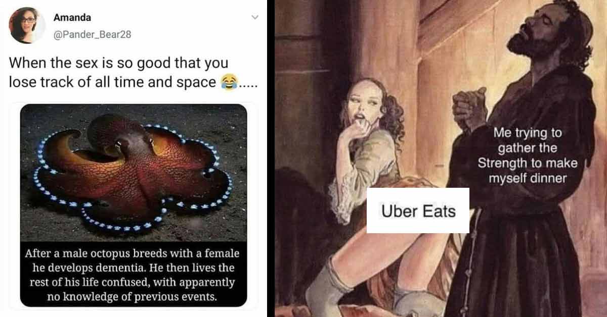 a funny sex meme about octopus and uber eats