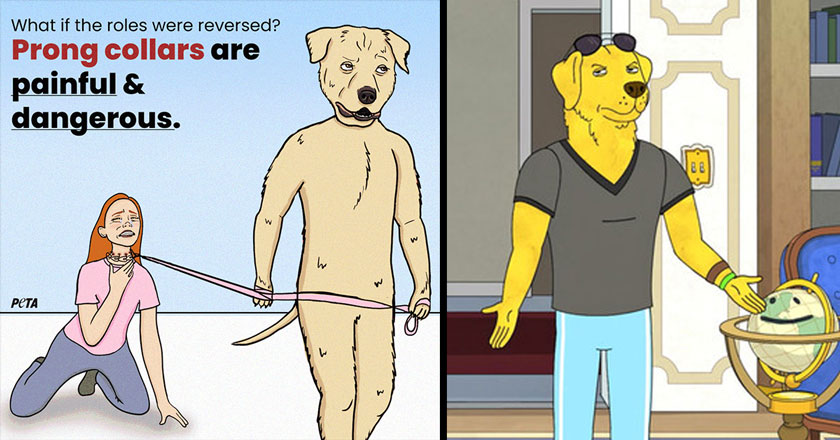 PETA dog and Bojack Horseman dog