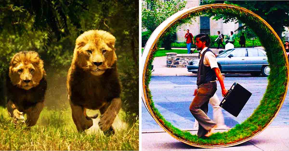 lions running, man in human hamster wheel