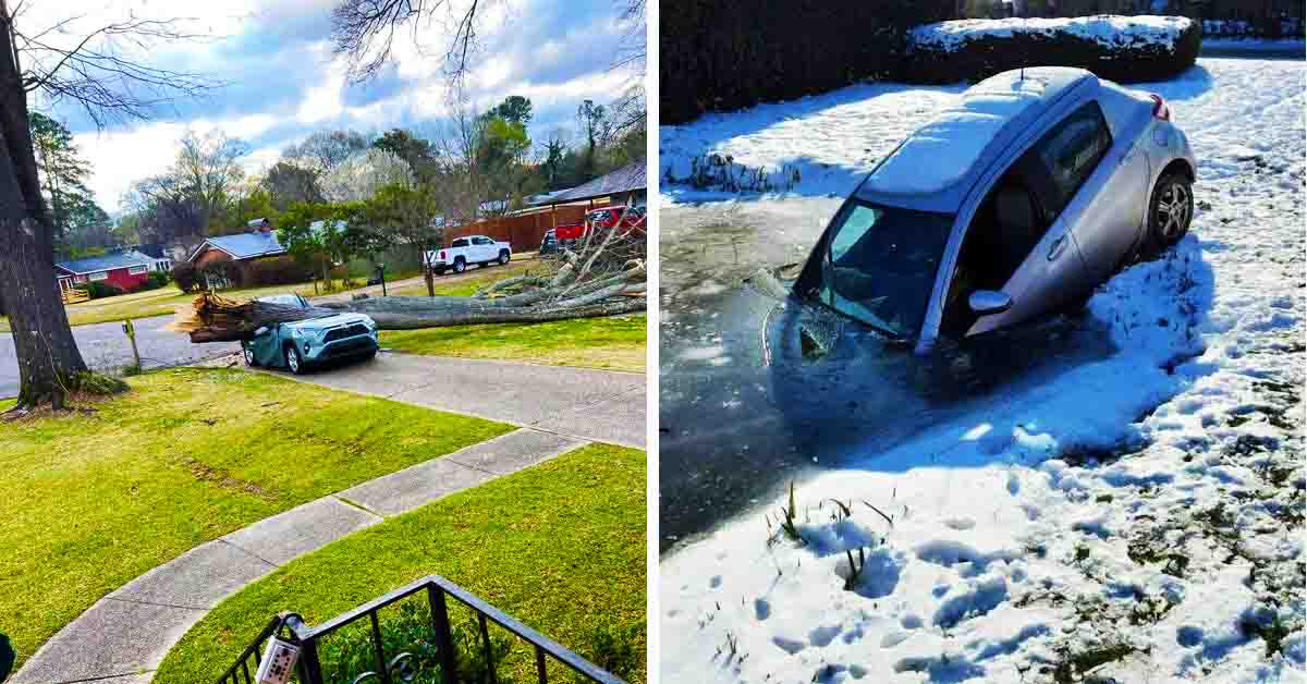 fallen tree destroys car, car sinking into frozen puddle