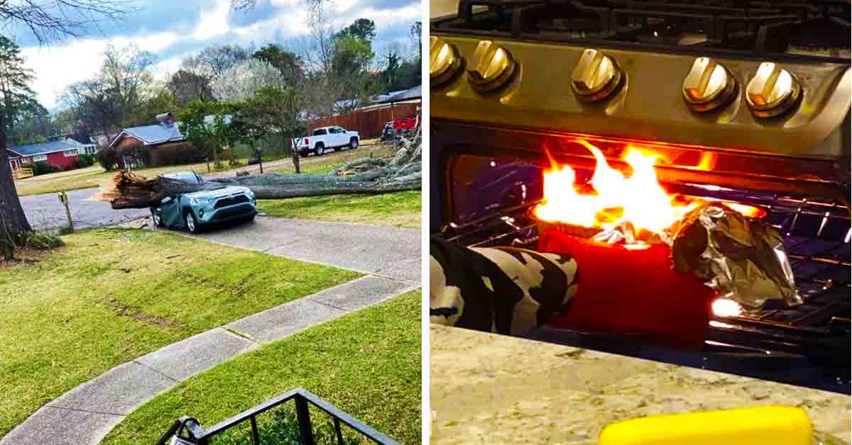 car crushed by tree, garlic bread on fire in oven