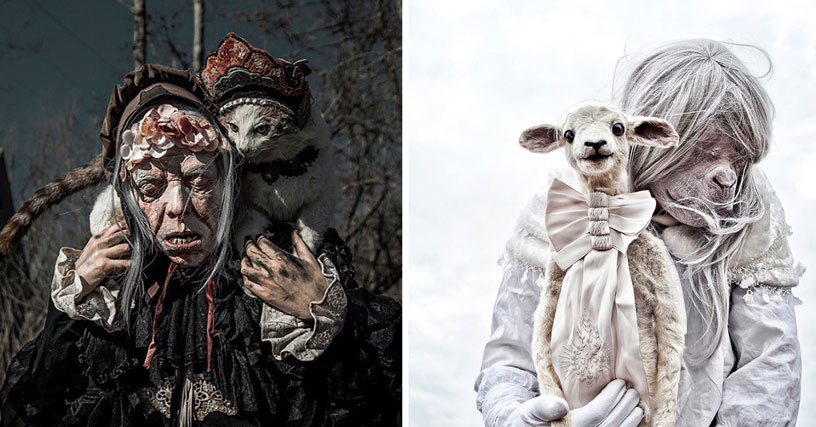 taxidermy pics mothmeister