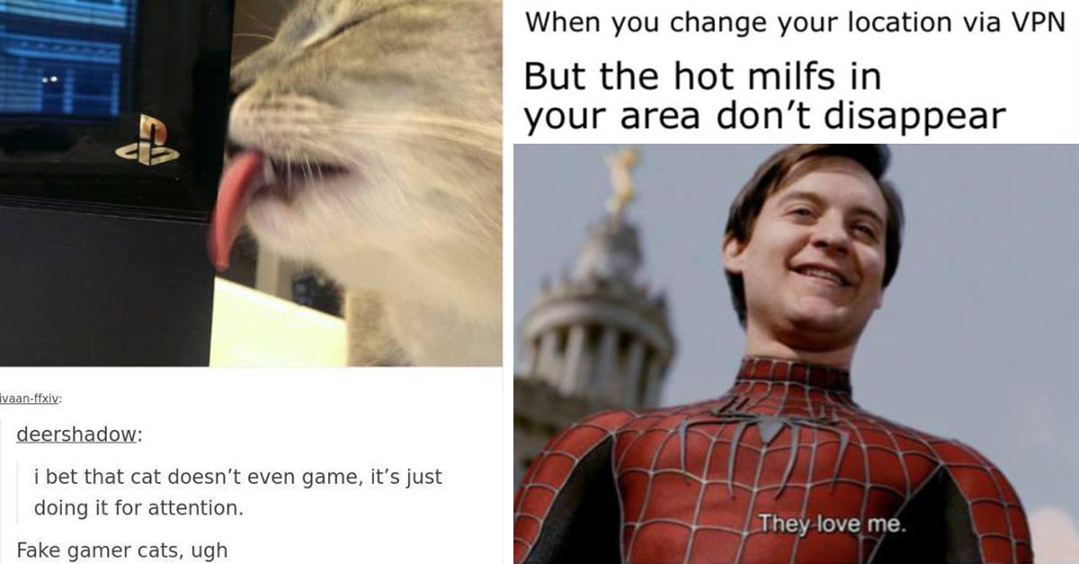 gaming memes -  Spider Man -  they love me