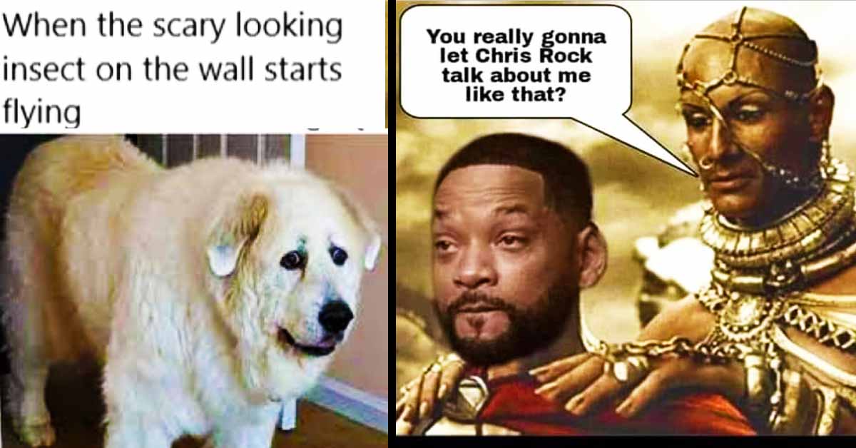 funny dog meme, 300 will smith meme