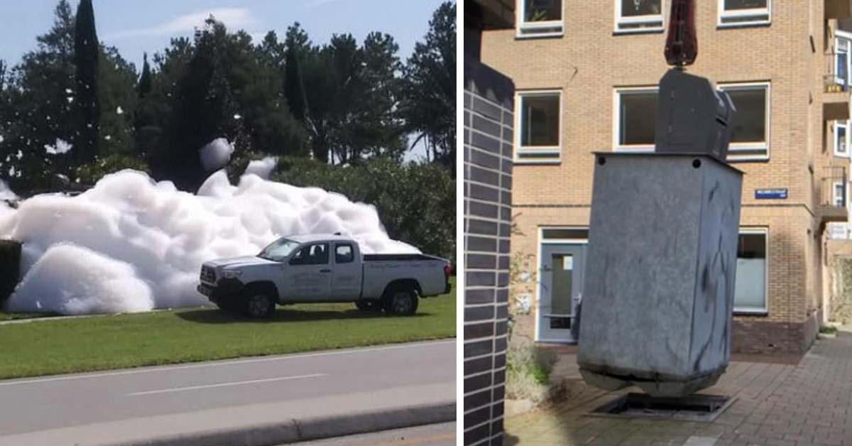 bubbles and foam coming from the trees and huge trash receptacles