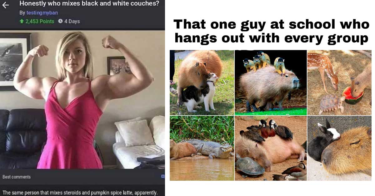 a funny meme with a girl flexing, and a meme about the strange friend