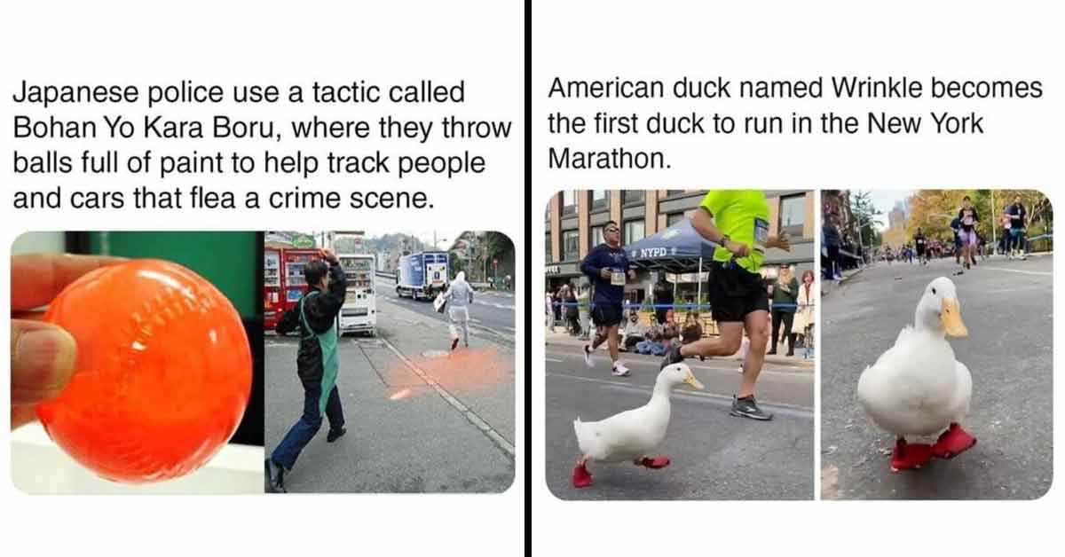 paint balls to mark suspects and duck with booties