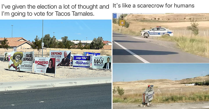 dank memes -  I've given the election some thought and I'm going to vote for Tacos Tamales -  Human Sacrecrow