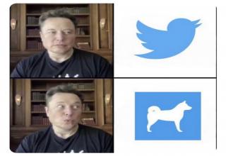 20 Twitter Memes for When You Get Bought by Elon Musk - Funny Gallery ...