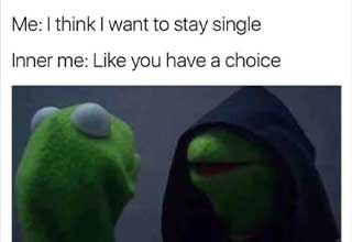 Being single is hard. With so many days dedicated to love, it's hard being someone who is yet to find it. Here are 25 memes dedicated to all of the loving people out there still living their <strong><a href="https://www.ebaumsworld.com/pictures/34-memes-single-folk-might-relate-to/86855416/?view=player">single life</a></strong>. <br><br>

Being single can be the result of many factors, and come with many emotions. Some people simply choose to be single, although as Darth Kermit the frog asks you in this gallery, is that really your decision, or a decision forced upon you? Some people want love but do not know in what form to procure it, and some people yearn for lost love, and for new love to feel the same as that of old. But in the end, these people all live the single life and as a result are pushing through the same experience. Some just for a short time, and some, well, forever. But no matter what, they can all look to this gallery for the companionship they lack. 