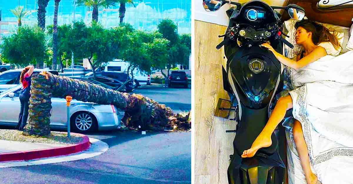 fallen palm tree atop car, sleeping woman hugging motorcycle