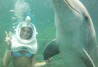 a girl with a dolphin